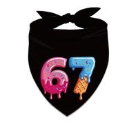 Heyfary Funny 67 Meme Bandana 6 7 Six Seven Party Decorations for Small Medium Dogs Cats Pets Adjustable Triangle Scarf