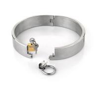 HeYie Metal collar lockable O-ring sex collars luxury/choker/collar/torture/fetish erotic sex toys slave for couples, women men SM extreme bondage sets metal collar (Color : 13.6cm, Size : Einheitsg