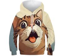 HEYLInUP Cute Cat Unisex Teen Boys Girls 3D Printed Hoodies Kids Sweatshirt Cartoon Style Pullover Tops Athletic Casual Long Sleeve with Pockets Age 6-15 13-15Y