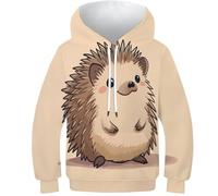 HEYLInUP Cute Hedgehog Unisex Teen Boys Girls 3D Printed Hoodies Kids Sweatshirt Cartoon Animals Pullover Jumper Cool Funny Graphic Long Sleeve with Pockets Age 6-15 8-10Y