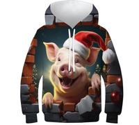 HEYLInUP Cute Pig Unisex Teen Boys Girls 3D Printed Hoodies Kids Sweatshirt Christmas Theme Pullover Hooded Athletic Casual Long Sleeve with Pockets Age 6-15 10-12Y