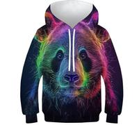 HEYLInUP Panda Unisex Teen Boys Girls 3D Printed Hoodies Kids Sweatshirt Animals Funny Pullover Cool Funny Graphic Long Sleeve with Pockets Age 6-15 11-13Y