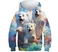 HEYLInUP Polar Bear Babies Unisex Teen Boys Girls 3D Printed Hoodies Kids Sweatshirt Arctic Animals Pullover Tops Cool Funny Graphic Long Sleeve with Pockets for 6-15 Years 8-10Y