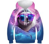 HEYLInUP Sloth Unisex Teen Boys Girls 3D Printed Hoodies Kids Sweatshirt Cartoon Animals Hoody Jumper Funny Clothes Long Sleeve with Pockets Age 6-15 9-11Y