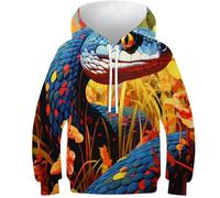 HEYLInUP Snake Unisex Teen Boys Girls 3D Printed Hoodies Kids Sweatshirt Vibrant Colors Pullover Tops Athletic Casual Long Sleeve with Pockets Age 6-15 8-10Y