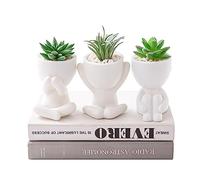 HEYO-YEPY 3PCS Cute Artificial Plant Office Decor for Women and Men, Aesthetic Desk Plant Decor for Office and Home, Potted Small Fake Plants for Indoor Decoration, White Pots Green Plants