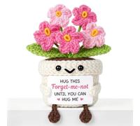 HeyPieces Long Distance Relationship Gifts, Positive Forget-Me-Not Crochet Flower
