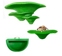 Heyshapeing Jumping Spider Mushroom Shelf - Magnetically Concealed Habitat & Enclosure Decor Accessories, Climbing, Feeding Platforms, and Decorative Green Shelves for Jumping Spiders (Green)