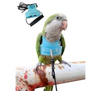 HEZHUO Bird Flight Harness Vest, Parrot Flight Suit with Leash for Parakeets Cockatiels Conures Budgies, Bird Flying Clothes with Rope and Handle, Anti Bite (2M, Blue)