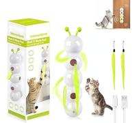 HFDHD Whack A Worm Post Cat Toy,Smart Motion Cat Toy with Worm Design,Interactive Whack a Worm Cat Toys,USB Rechargeable Automatic Feather Teaser for Indoor (1PCS)