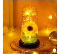 HFHungkeong Preserved Flowers Gifts for Women Wife and Girls,Eternal Sunflower Artificial Sun Flower Decor in Glass Dome with Led,Forever Sunflower for Anniversary Mothers Day Thank You Gifts