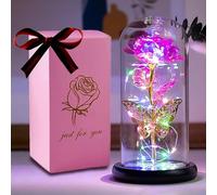 HFHungkeong Rose Flower Gifts for Women, for Mom, Galaxy Rainbow Rose Artificial Flower Glass Glowing Dome Butterfly Rose Birthday Gifts for Women Girlfriend Wife Valentine's Day Anniversary