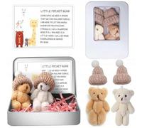 HFSAZJ 2 Pcs Little Pocket Bear Hug in a Tin Box, Worry Bear Hug in a Box Mini Plush Bears Set with Inspirational Card, Small Cute Doll Positive Gifts for Friends Women Men Birthday
