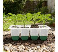 HFSAZJ Reusable Seedling Starter Kit for Indoor Gardening, Silicone Seed Trays, Reusable Seedling Trays Starter Container for Plant Propagation Station Herb Garden and Greenhouse (1pcs green 1pcs)