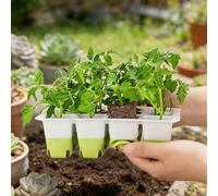 HFSAZJ Reusable Seedling Starter Kit for Indoor Gardening, Silicone Seed Trays, Reusable Seedling Trays Starter Container for Plant Propagation Station Herb Garden and Greenhouse (1pcs yellow 1pcs)