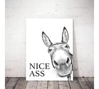 HFYSUIKAS Funny Donkey Canvas Wall Art - Vintage Donkey Poster and Prints, Nice Ass Quote, Modern Humorous Farm Animal Picture for Toilet Decor(40x60cm(16x24inch)/Internal Frame)