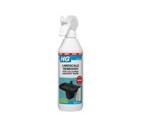 Hg 428050106 Limescale Remover For Coloured Sanitary Ware 500Ml