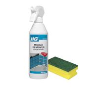HG Mould Remover Foam Spray with Foam Scourer