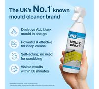 HG Mould Remover Spray Kills Black Mold Mildew on Walls Tiles 500m