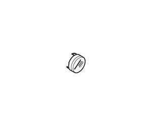 HG Push Button Symbol Hand Shower White