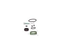 HG Service Set For AKTIVA/1901 Hand Shower