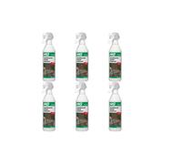 HG Weathered Wood Restorer, 500ml Spray (292050106) (Pack of 6)