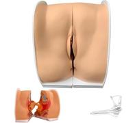 HGAYUBDV IUD Training Model, Female Genitals Anatomy Model, Human Anatomical Model, Accurate Anatomy Structure Suitable for Teaching and Presentation.