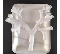 HGAYUBDV Medical Gift, Bronchoscopy Training Model, Resin Bronchoscope Bronchial Tree Anatomy Model Fiber Bronchial Set for Doctor Teaching,Medical School Nursing Learning.(Level 3 white)