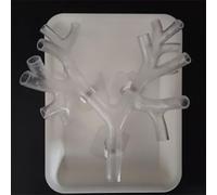 HGAYUBDV Medical Gift, Bronchoscopy Training Model, Resin Bronchoscope Bronchial Tree Anatomy Model Fiber Bronchial Set for Doctor Teaching,Medical School Nursing Learning.(Level 3 transparent)