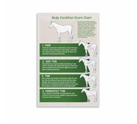 HGETJOHXEM Equine Body Condition and Health Chart Poster Guide for Horse Care and Veterinary(Unframed,08x12inch(20x30cm))