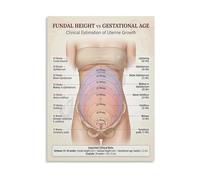 HGETJOHXEM Fundal Height Vs Gestational Age Educational Poster Uterine Growth Guide Canvas Painting Wall-Art for Midwives Doctors and Expecting Mothers(Framed,08x12inch(20x30cm))