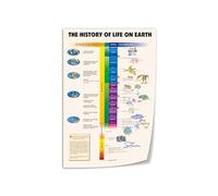 HGETJOHXEM History of Life on Earth Art Print - Geological Timeline & Evolution Poster, Vintage Science Wall Decor for Classroom, Study or Office(Unframed,12x18inch(30x45cm))
