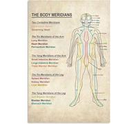 HGETJOHXEM Meridian Pathways Educational Chart, Vintage Style Canvas Wall-Art for Classroom, Clinic Waiting Area, Den(Unframed,12x18inch(30x45cm))