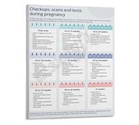 HGETJOHXEM Parents Pregnancy Guide Poster Prenatal Checkups Scans and Tests Schedule for Nursery Room Gift Idea(Unframed,16x24inch(40x60cm))
