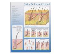 HGETJOHXEM Stylist Studio Decor Poster for Hair and Skin Care Tips Salon Wall Chart Beauty Industry Reference for Office and Reception Area(Framed,12x18inch(30x45cm))