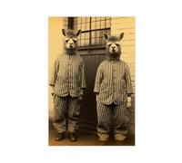 HGFH5TD Alpacas in Prison Wearing A Striped Suit, Funny Vintage Animal, Retro Alpaca Photograph, Vintage Canvas Poster Bedroom Decor Sports Landscape Office Room Decor Gift 12x18inch(30x45cm)