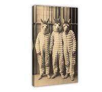 HGFH5TD Alpacas in Prison Wearing A Striped Suit, Funny Vintage Animal, Retro Alpaca Photograph, Vintage, Poster for Room Aesthetics Canvas Wall Art Poster And Print 12x18inch(30x45cm)