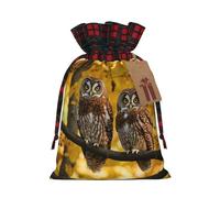 HGFVY Cute Brown Cartoon Owls 1pcs Drawstring Tote Bag 8.3x11.8in For Christmas Gifting And Storage And With Kraft Gift Tags