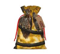 HGFVY Cute Brown Cartoon Owls 1pcs Drawstring Tote Bag 8.3x11.8in For Christmas Gifting And Storage And With Kraft Gift Tags
