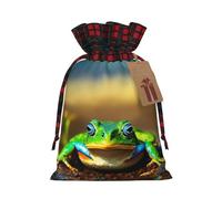 HGFVY Cute Frog 1pcs Drawstring Tote Bag 8.3x11.8in For Christmas Gifting And Storage And With Kraft Gift Tags