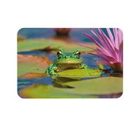 HGFVY Cute Frog Printing Bath Mat Diatomaceous Earth Mat Non-Slip Shower Mat for Kitchen Bathroom Floor,Easy to Clean