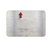 HGFVY Old White Brick Wall Printing Bath Mat Diatomaceous Earth Mat Non-Slip Shower Mat for Kitchen Bathroom Floor,Easy to Clean