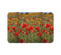 HGFVY Poppy Flowers Printing Bath Mat Diatomaceous Earth Mat Non-Slip Shower Mat for Kitchen Bathroom Floor,Easy to Clean