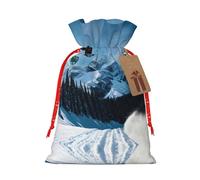 HGFVY Snowboarding 1pcs Drawstring Tote Bag 4.7 X 6.9in For Christmas Gifting And Storage And With Kraft Gift Tags