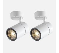 HGHERSJTW LED Ceiling Spotlight Adjustable Surface Mount Spot Light Fixture, 2 Pack Directional Ceiling Lamp Fitting, 30W Gallery Picture Lighting, Living Room Office Spotlights (4000k)