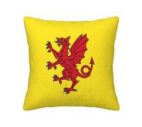 HGIUYDRD Somerset County Flag Print Corduroy Throw Pillow with Invisible Zipper Closure for Living Room, Couch and Bed