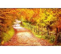 hgjdjhnf Custom Size 3D Mural Beautiful Path Autumn Leaves Hotel Background Wall-350Cm×245Cm