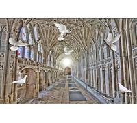 hgjdjhnf Custom Size 3D Mural Empty Expansion Peace Dove 3D Background Wall-350Cm×245Cm