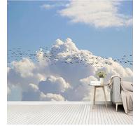 hgjdjhnf Three Dimensional Simple Blue Sky, White Clouds, Birds, 3D Wallpaper Structure, Silk, Living Room, Sofa, Bedroom, Dining Room, Home Decoration,350cmx256cm