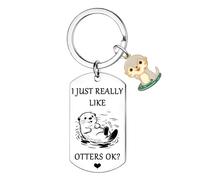 Hgreiwgk Funny Otter Keyring Otter Gifts for Women Cute Otter Charm Accessories Otter Lovers Gift Friendship Gifts for Friends Birthday Gifts for Daughter Sister Granddaughter